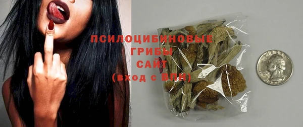 сатива Аркадак
