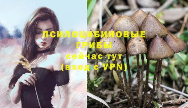 МДПВ Алексеевка