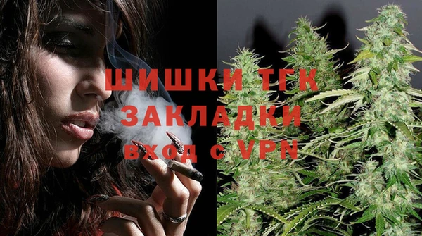 сатива Аркадак