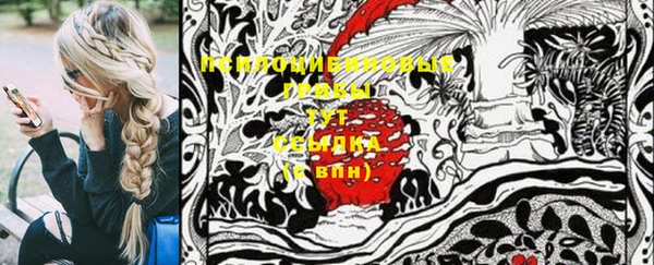 МДПВ Алексеевка