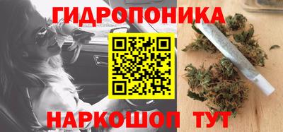 Альфа ПВП Ярославль