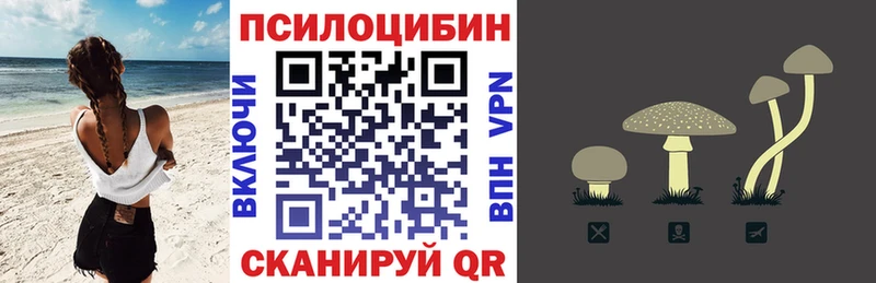 Галлюциногенные грибы ЛСД  кракен вход  Новошахтинск  как найти  