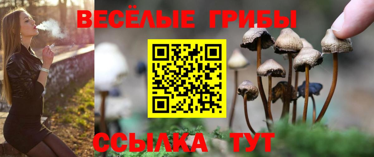Новошахтинск  Галлюциногенные грибы Magic Shrooms  Вход с VPN 