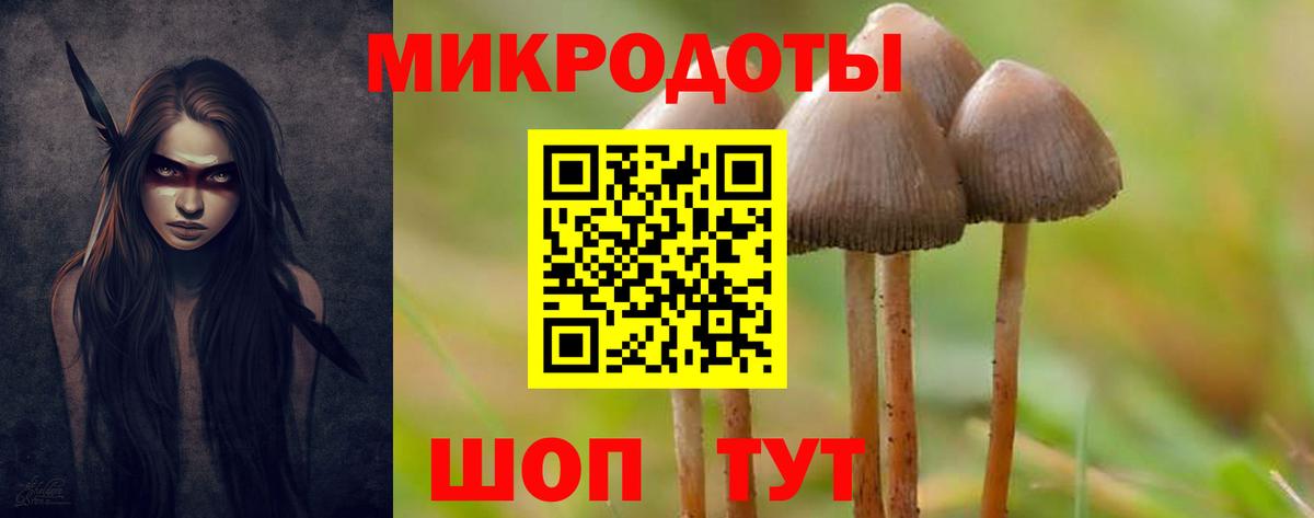 Псилоцибиновые грибы Cubensis Новошахтинск